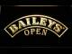 Baileys Open LED Neon Sign