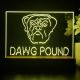 Cleveland Browns Dawg Pound LED Desk Light