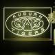 Auburn Tigers Tiger Eyes Logo LED Desk Light