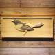 Baltimore Orioles 5 Wood Sign